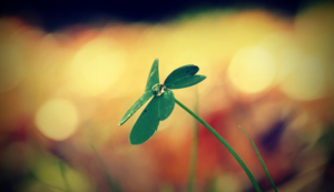 勇士再挫对手！金州队员全力以赴