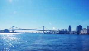 尼克斯全面获胜！纽约球队势不可挡