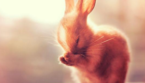 火箭客场大胜灰熊，球队状态回暖