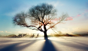 黑龙江球员积极训练备战关键战役